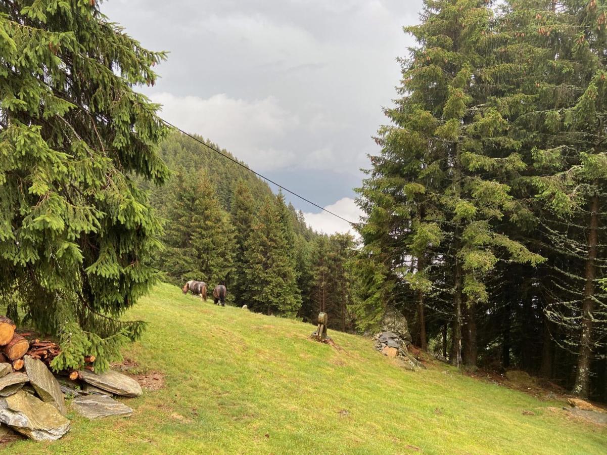 Monte Carasso Do-Minus Boutique Home & Private Spa Ca Pedrot Mountain Cottage מראה חיצוני תמונה